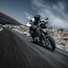 Kawasaki 2019: nuove colorazioni per Z 900RS, Z650, Versys 650 e Vulcan S