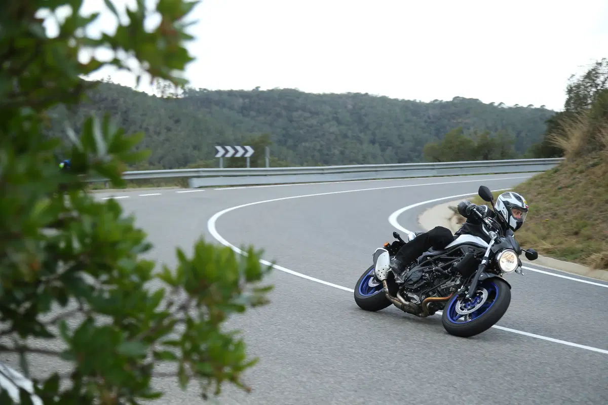 Suzuki SV 650 (2)