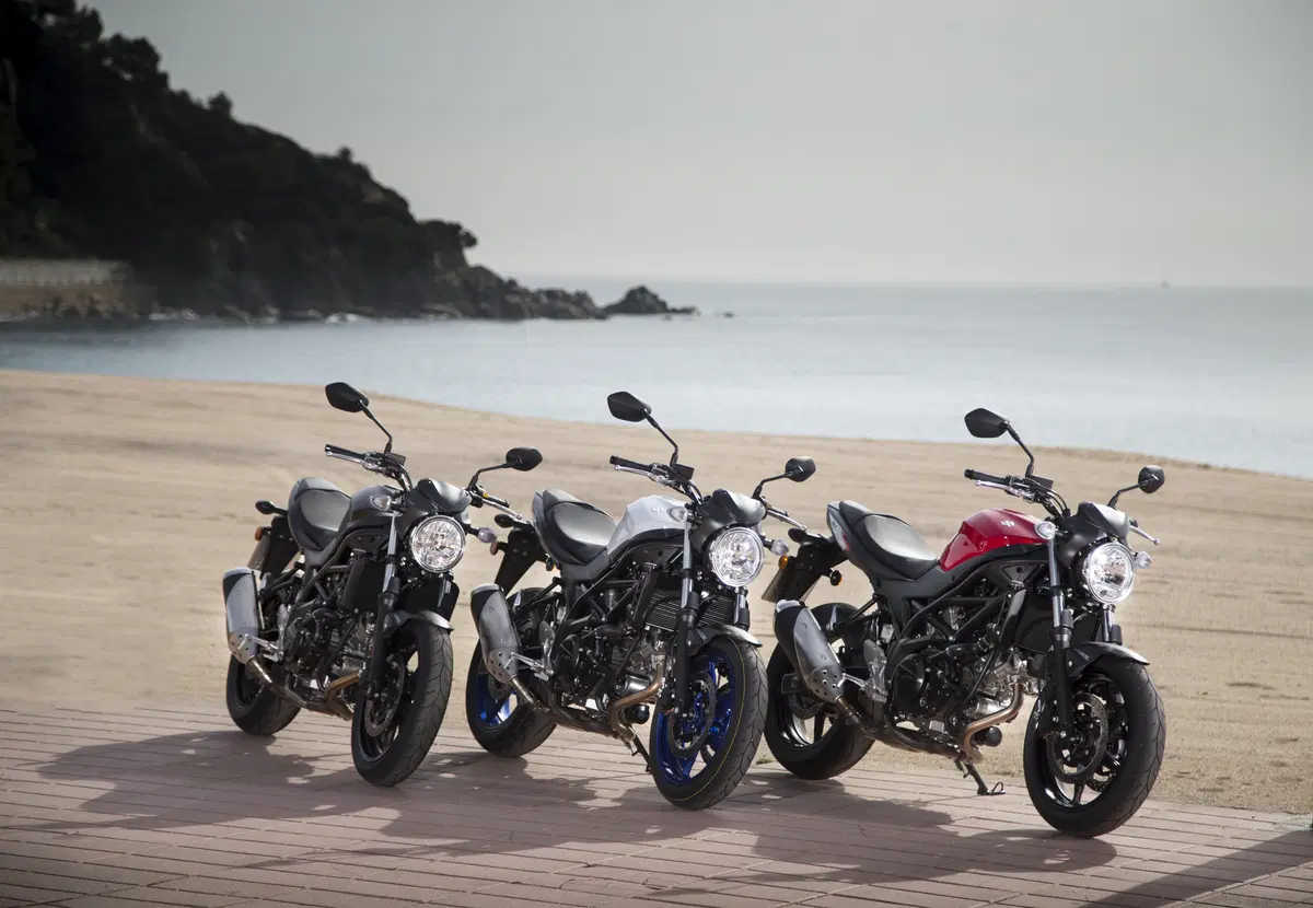 Suzuki SV 650 (10)