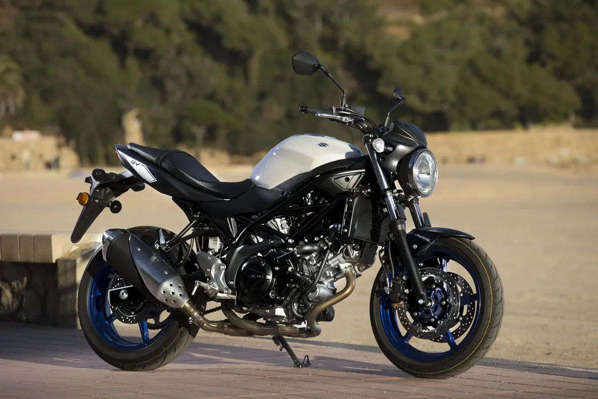 Suzuki SV 650 (17)