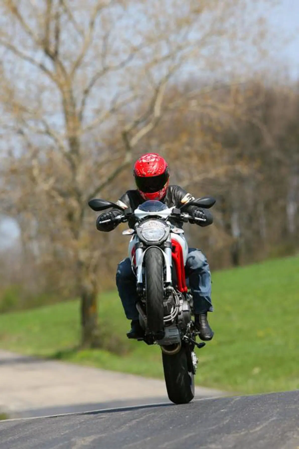 Ducati Monster 796  (8)