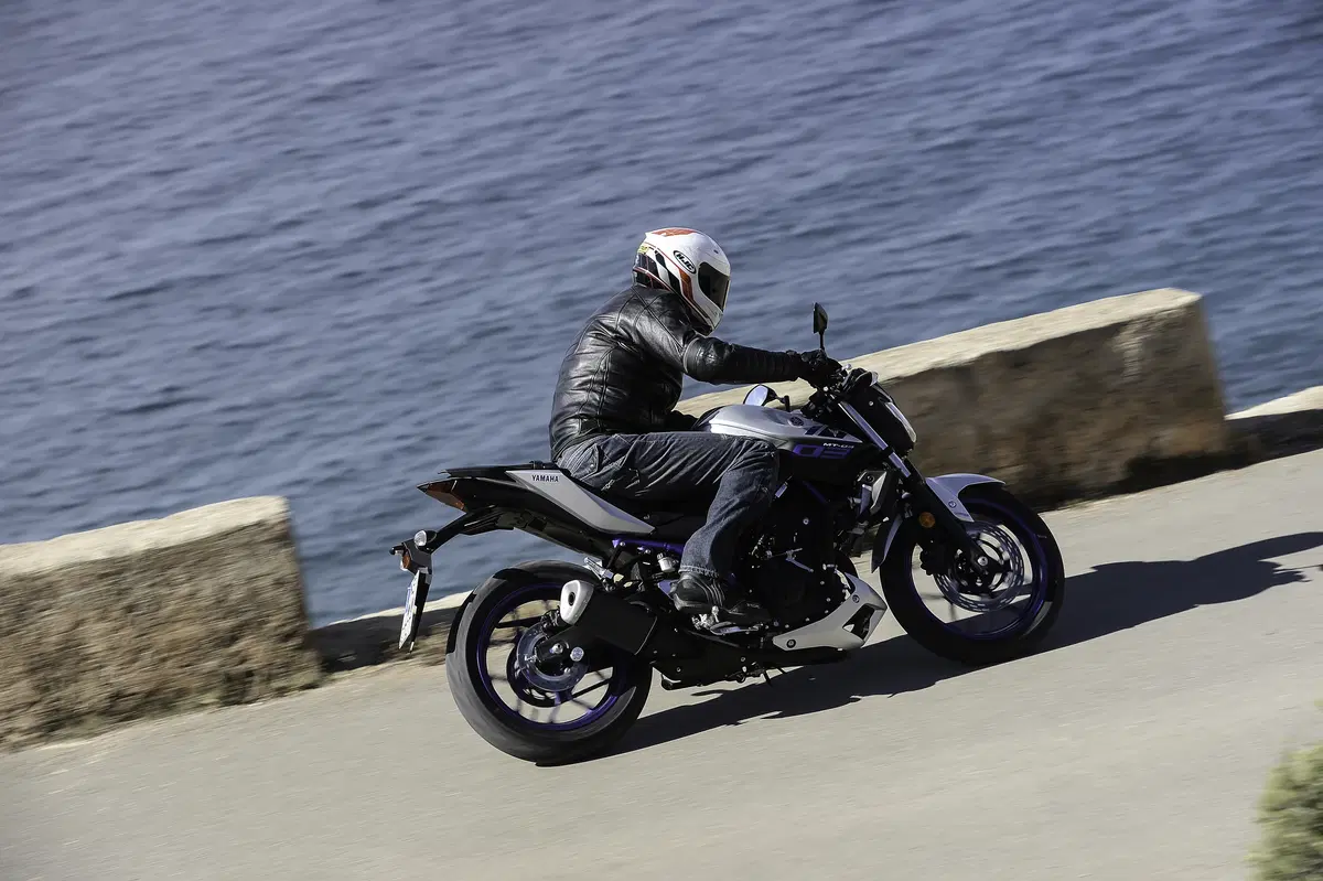 Yamaha MT-03 2016 (2)