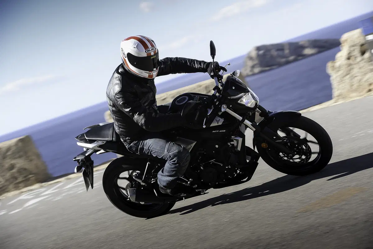 Yamaha MT-03 2016 (4)