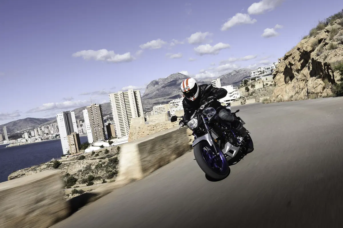 Yamaha MT-03 2016 (5)