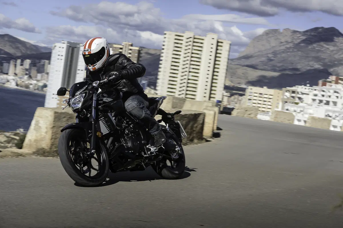 Yamaha MT-03 2016 (6)