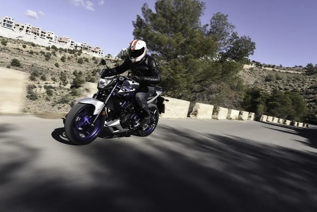 Yamaha MT-03 2016 (8)