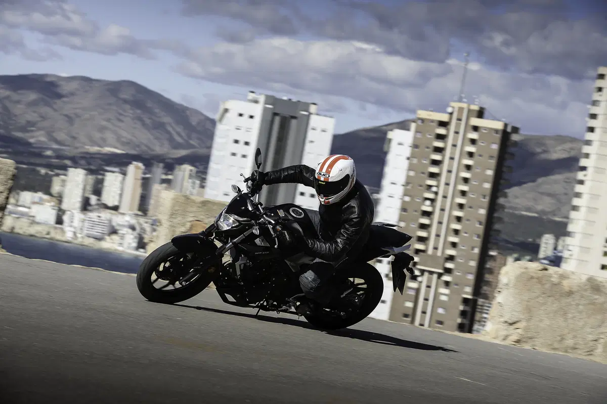 Yamaha MT-03 2016 (9)
