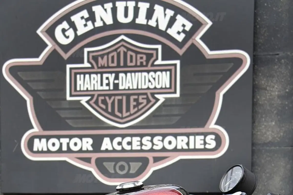 Cafe racer made in Harley-Davidson Pavia (8)