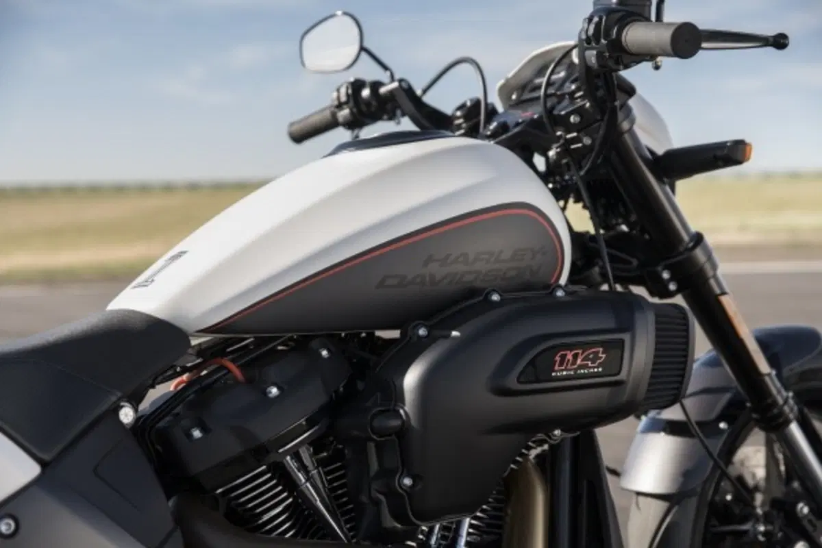 Harley-Davidson FXDR 114” 2019. Foto e Video (11)