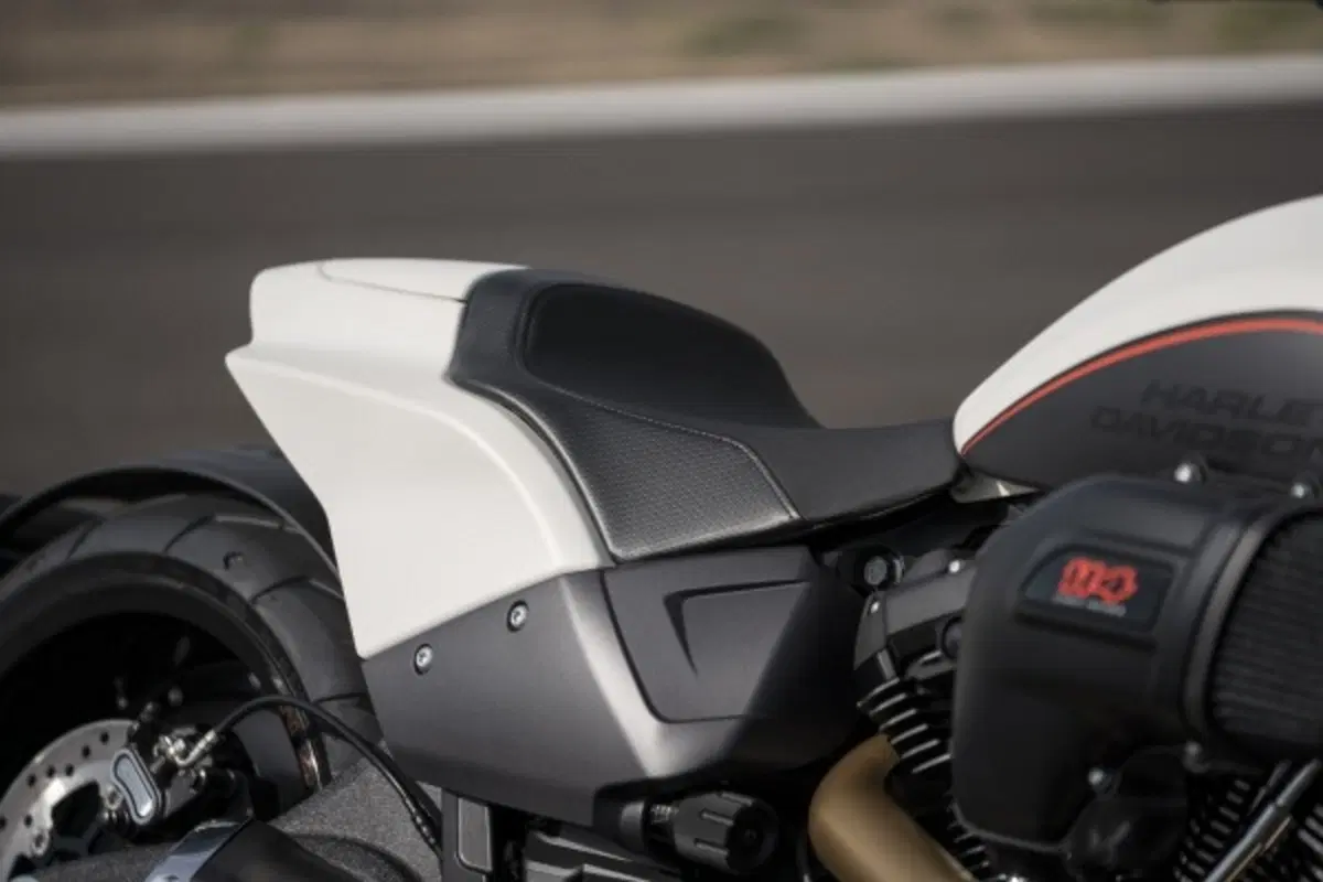 Harley-Davidson FXDR 114” 2019. Foto e Video (14)