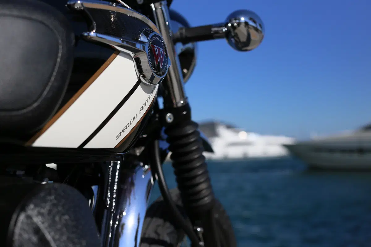 Kawasaki W800 Scrambler, due moto in una (7)