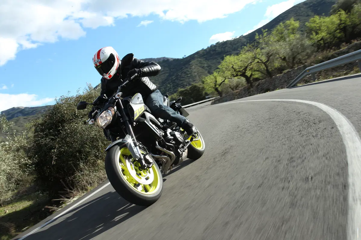 Yamaha MT-09 2016 (6)