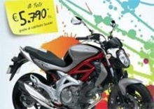 Promozioni Suzuki Gladius e Burgman 400