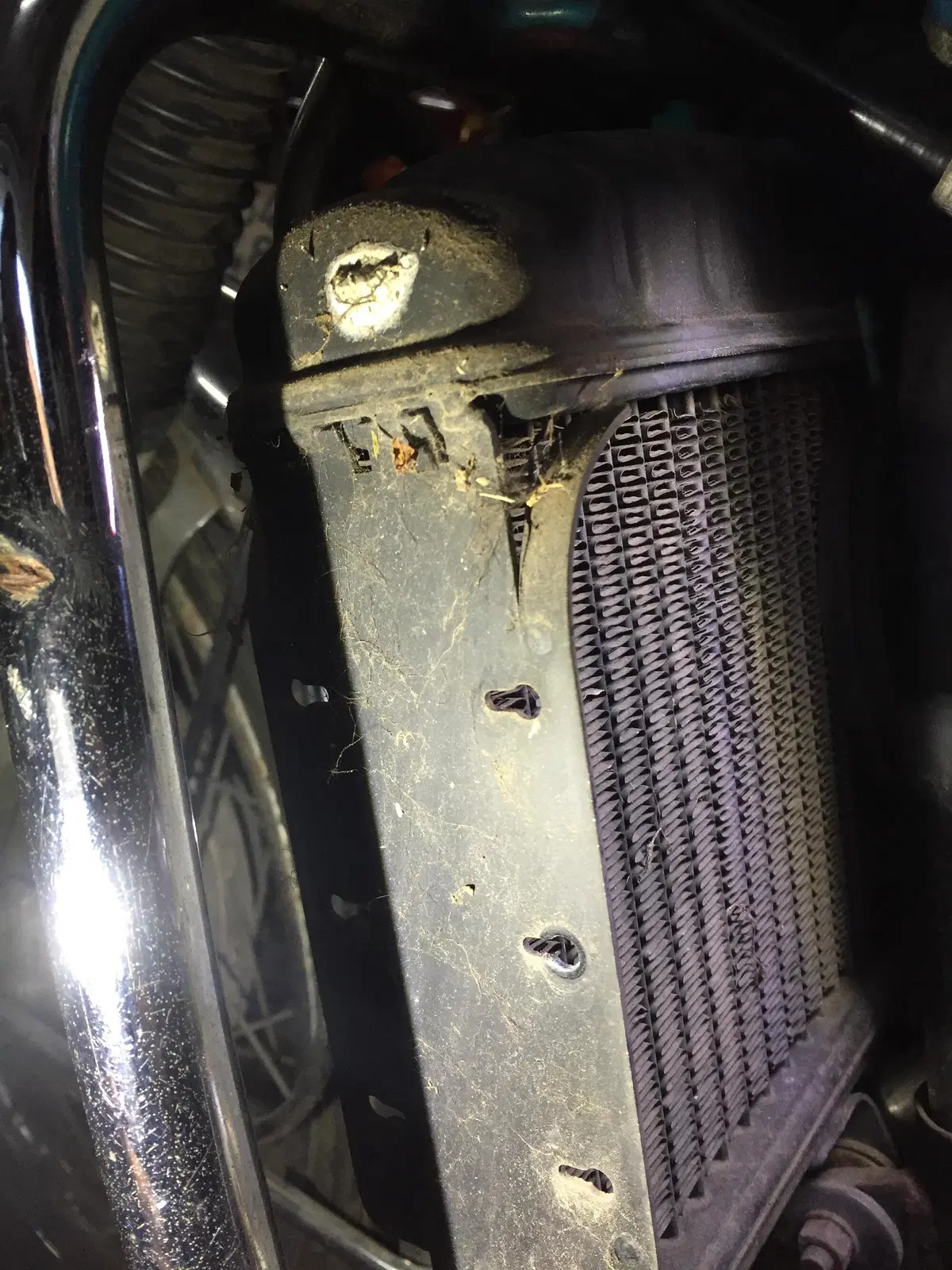 Restaurando, puntata 23, Suzuki GT 750 1972 (176)