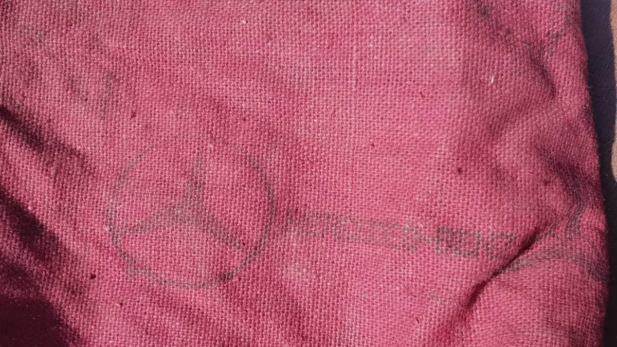 Borsa attrezzi Mercedes (2)