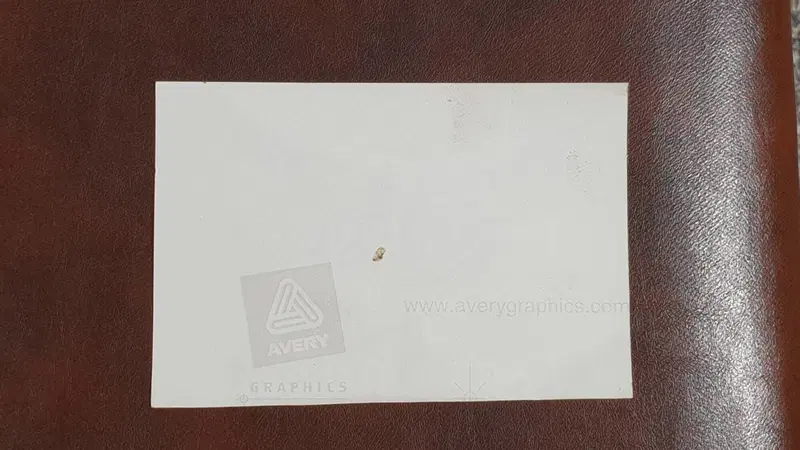 Adesivi bianchi Moto Guzzi (2)