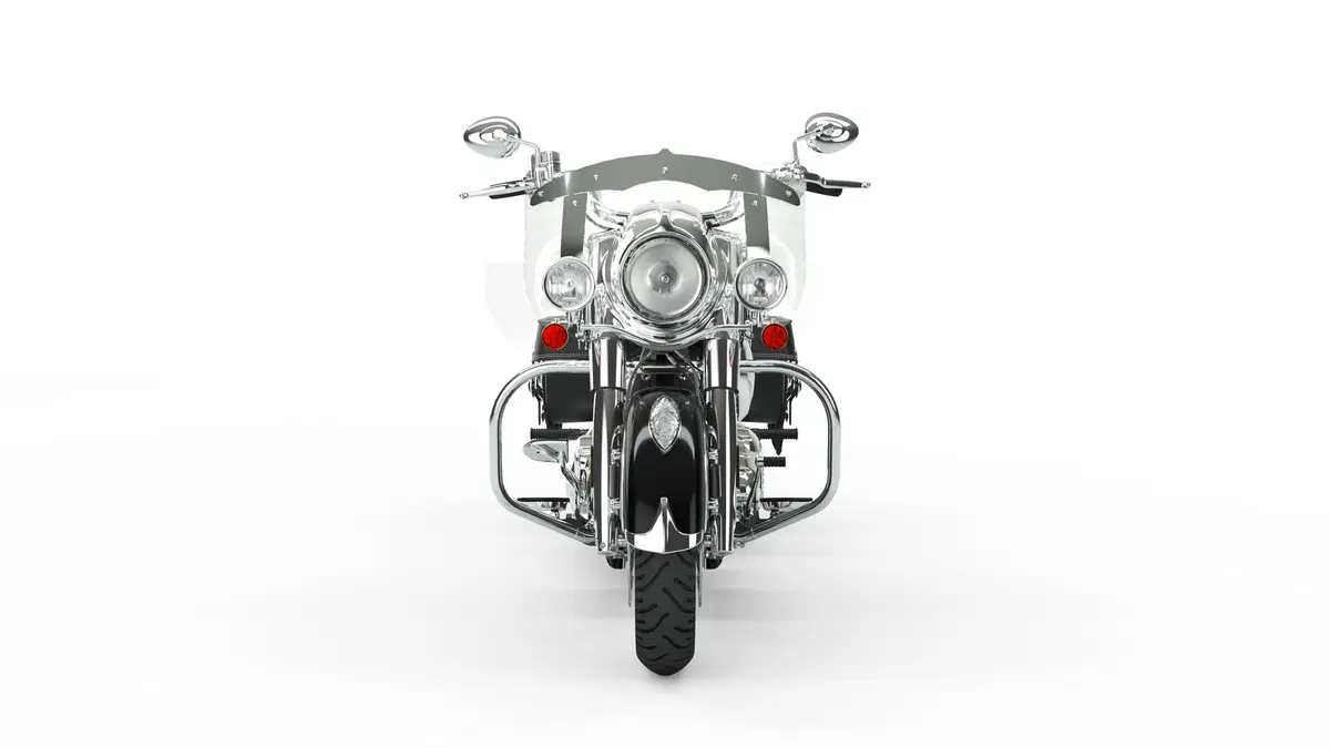 Indian Chief Vintage Chief Vintage (2019 - 20) (6)