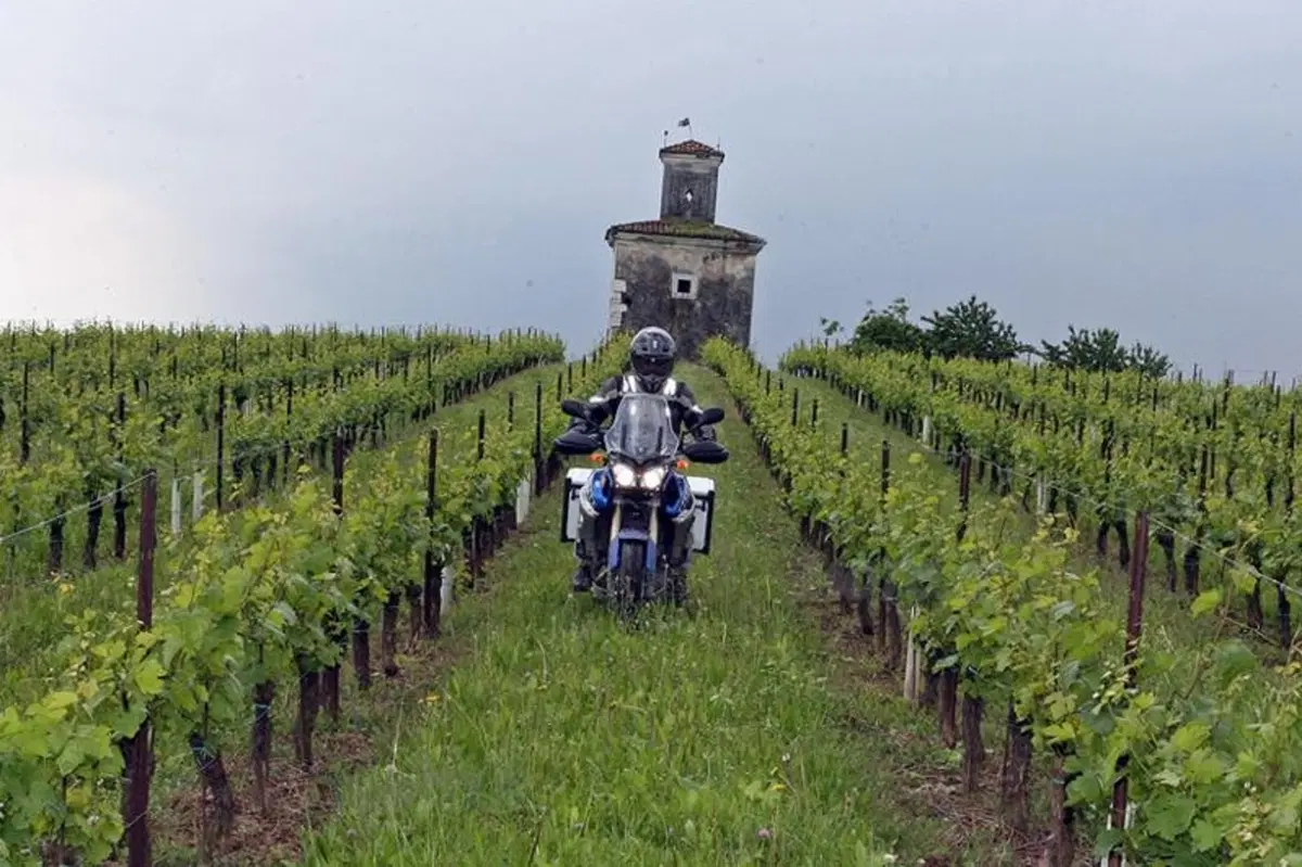Yamaha XT1200Z Super Ténéré (3)
