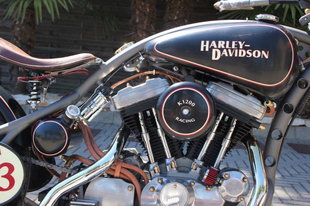 Altre marche Harley Davidson SPECIAL GREYHOUND (3)