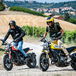 Ducati Scrambler Icon 2019. Foto, video e dati