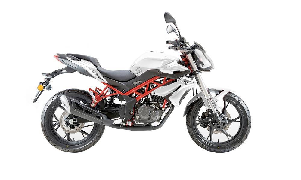 Benelli BN 125 (2021 - 24) (4)