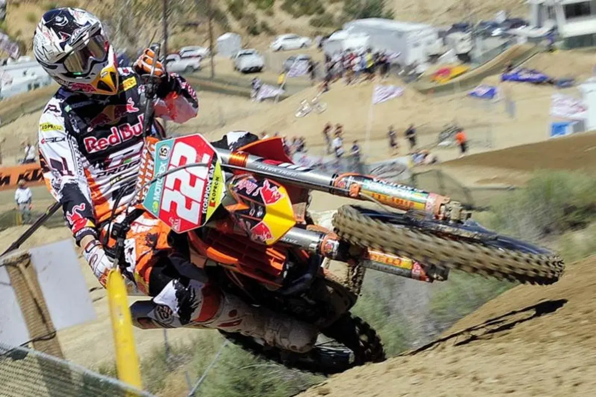 Cairoli: che musica! (3)