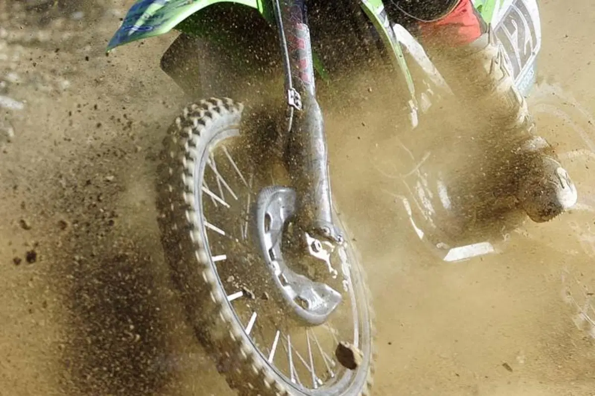 Cairoli: che musica! (6)