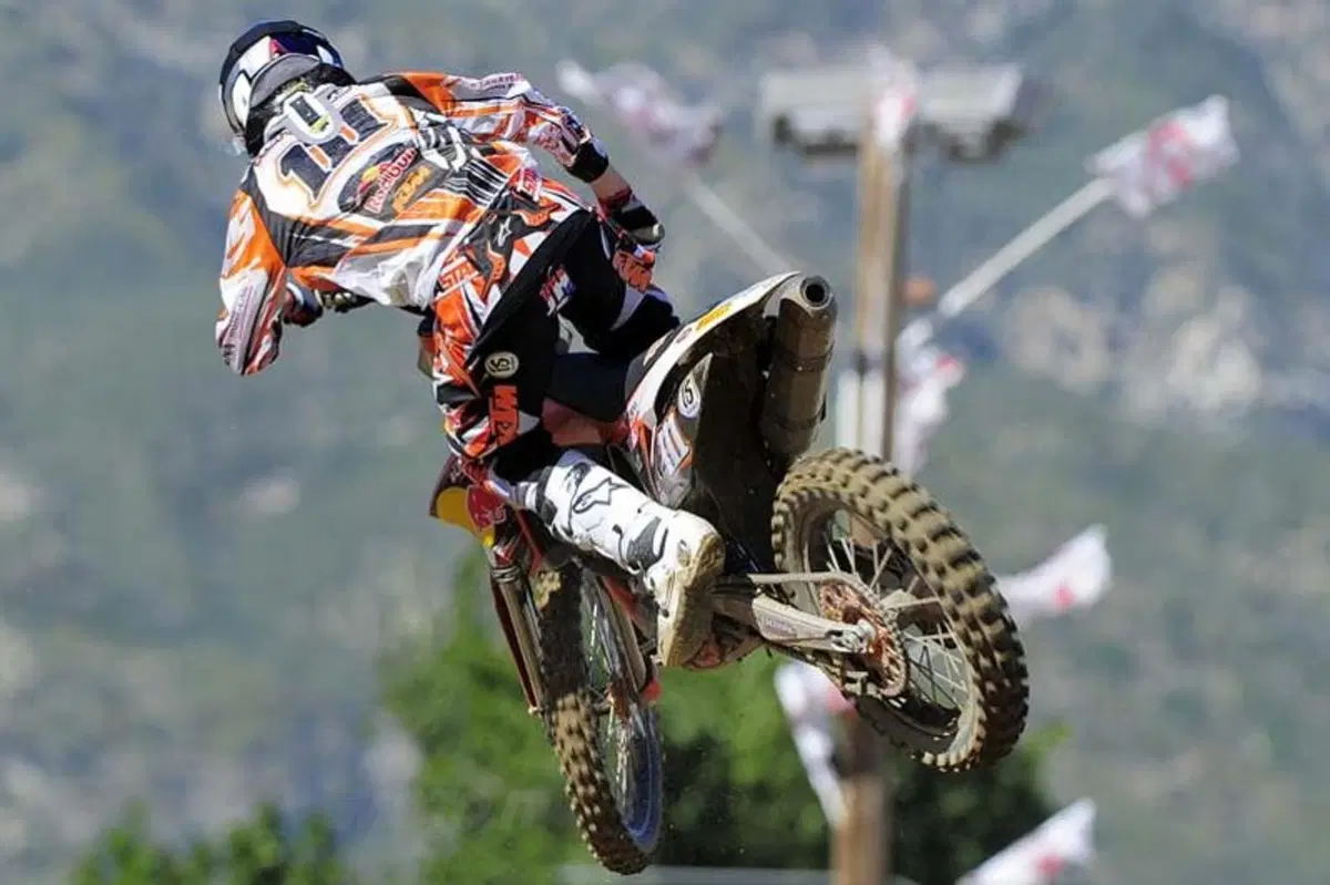 Cairoli: che musica! (12)