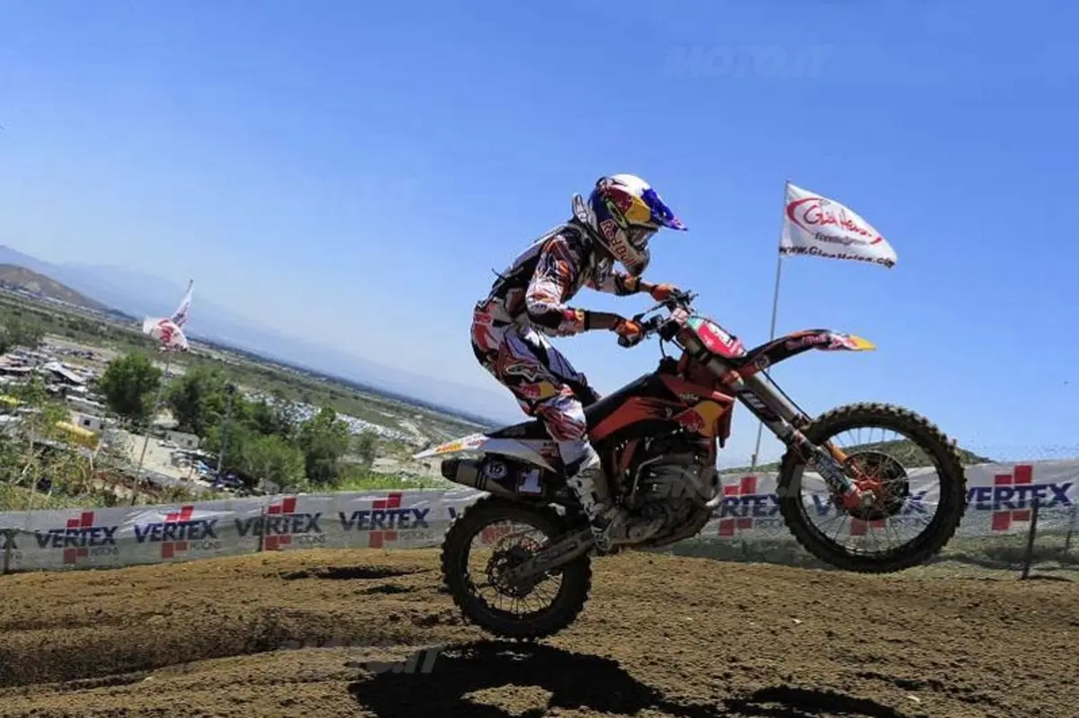Cairoli: che musica! (17)
