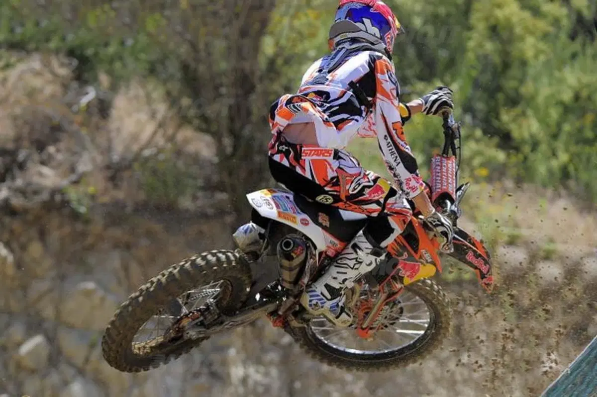 Cairoli: che musica! (18)