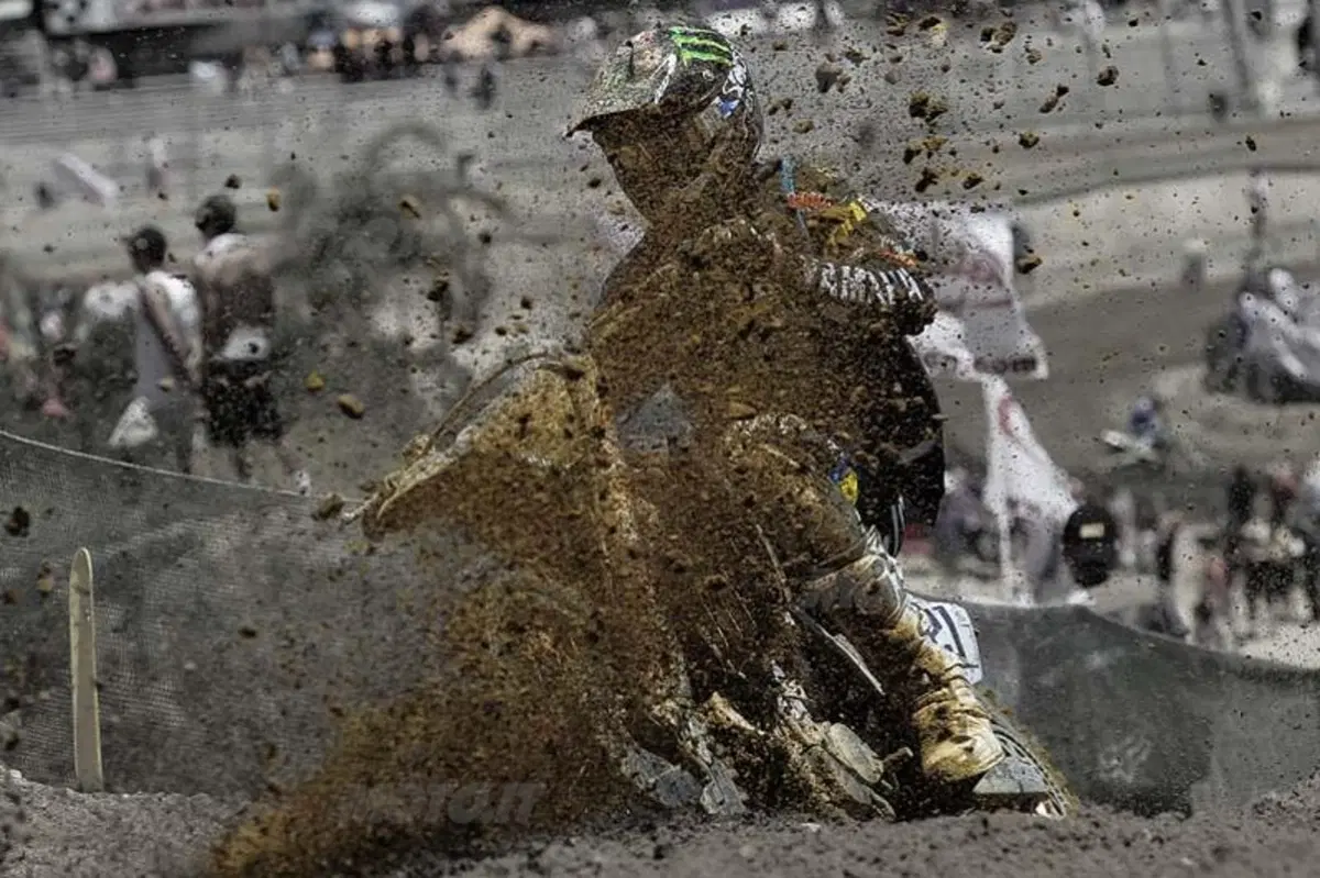 Cairoli: che musica! (24)