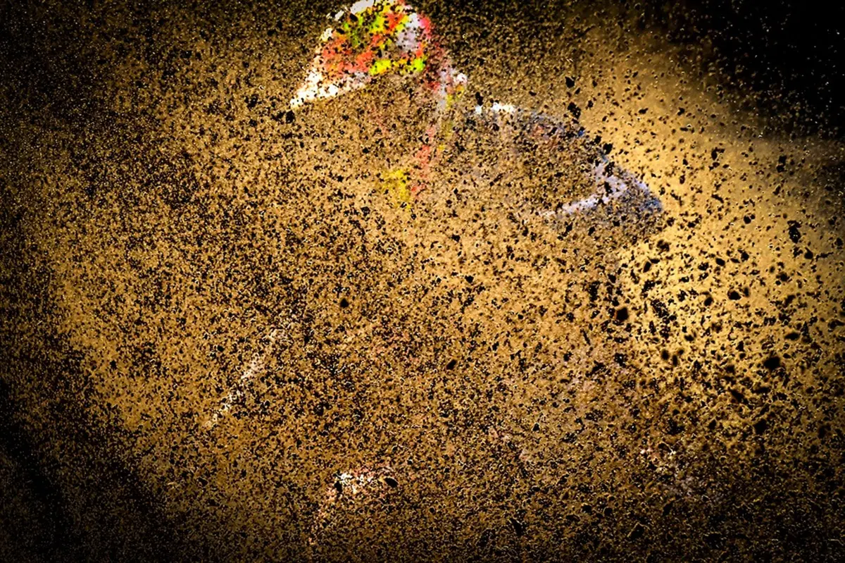 Gallery MX. Il GP d'Olanda 2018 (60)