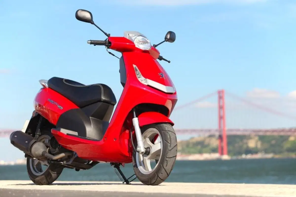 Peugeot Vivacity 125  (18)