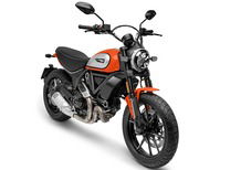 Ducati Scrambler 800 Icon (2017 - 20)