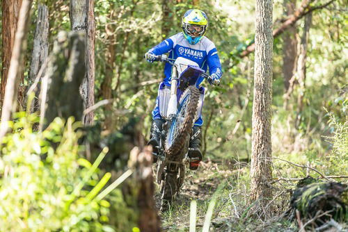 Yamaha WR450F 2019: tutte le novità (6)