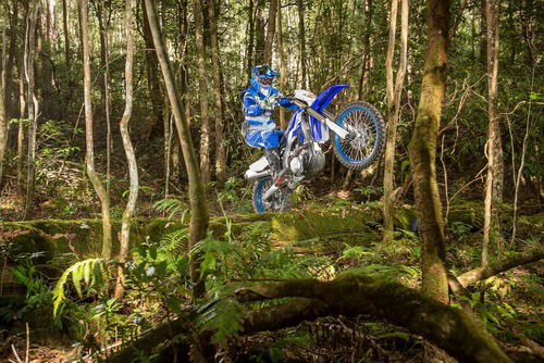 Yamaha WR450F 2019: tutte le novità (8)