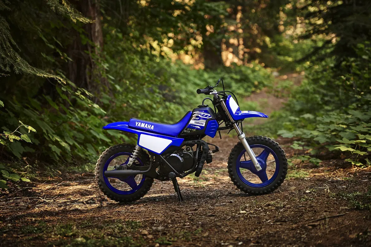 Yamaha WR450F 2019: tutte le novità (18)