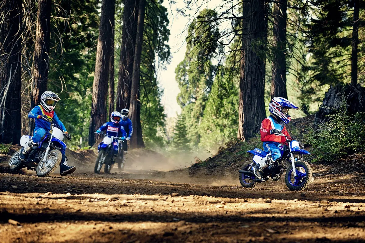 Yamaha WR450F 2019: tutte le novità (20)