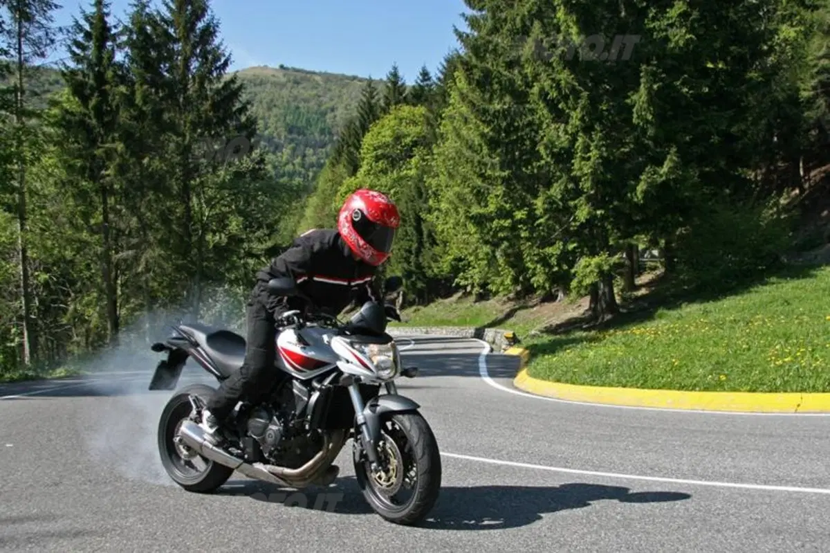 Honda Hornet 600  (7)