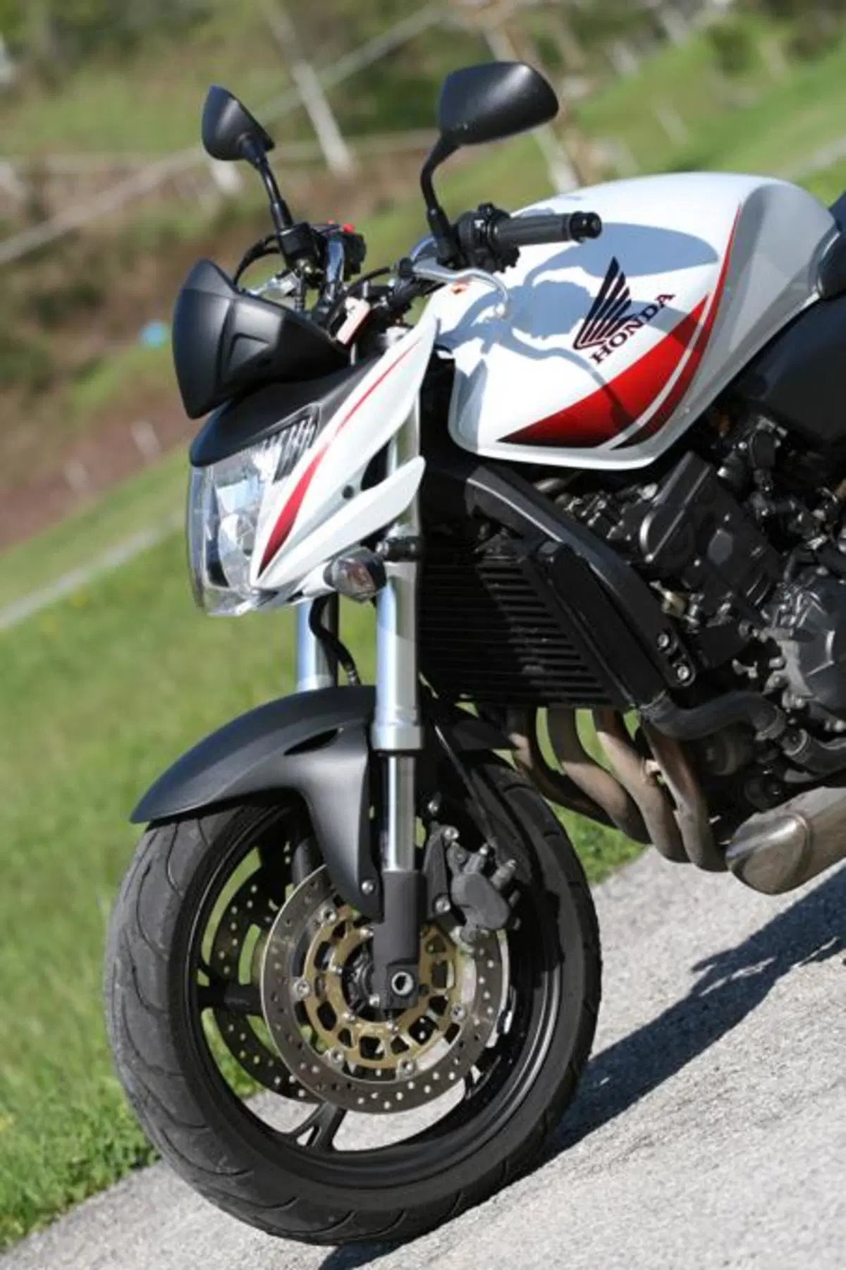 Honda Hornet 600  (27)