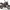 Aprilia Shiver 900 ABS (2019 - 20)