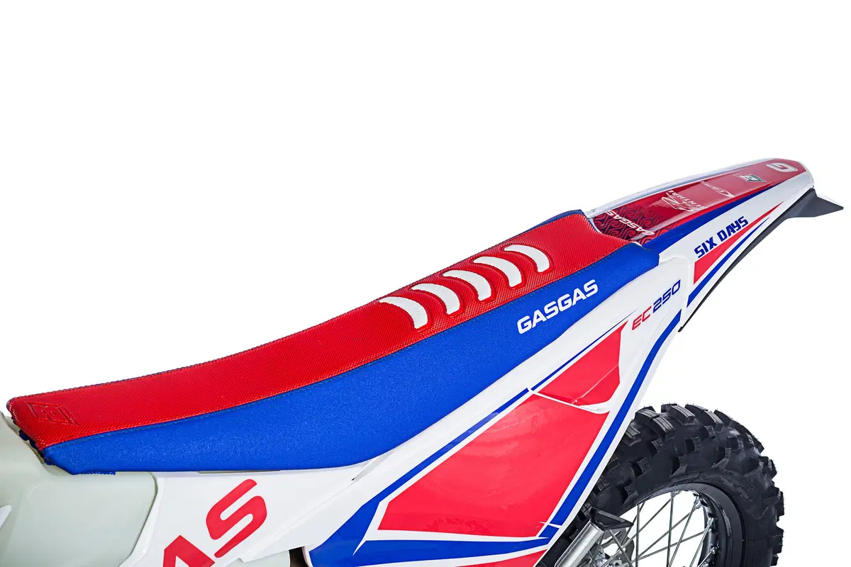GASGAS EC 250 EC 250 Six Days Chile'18 (2018 - 20) (15)