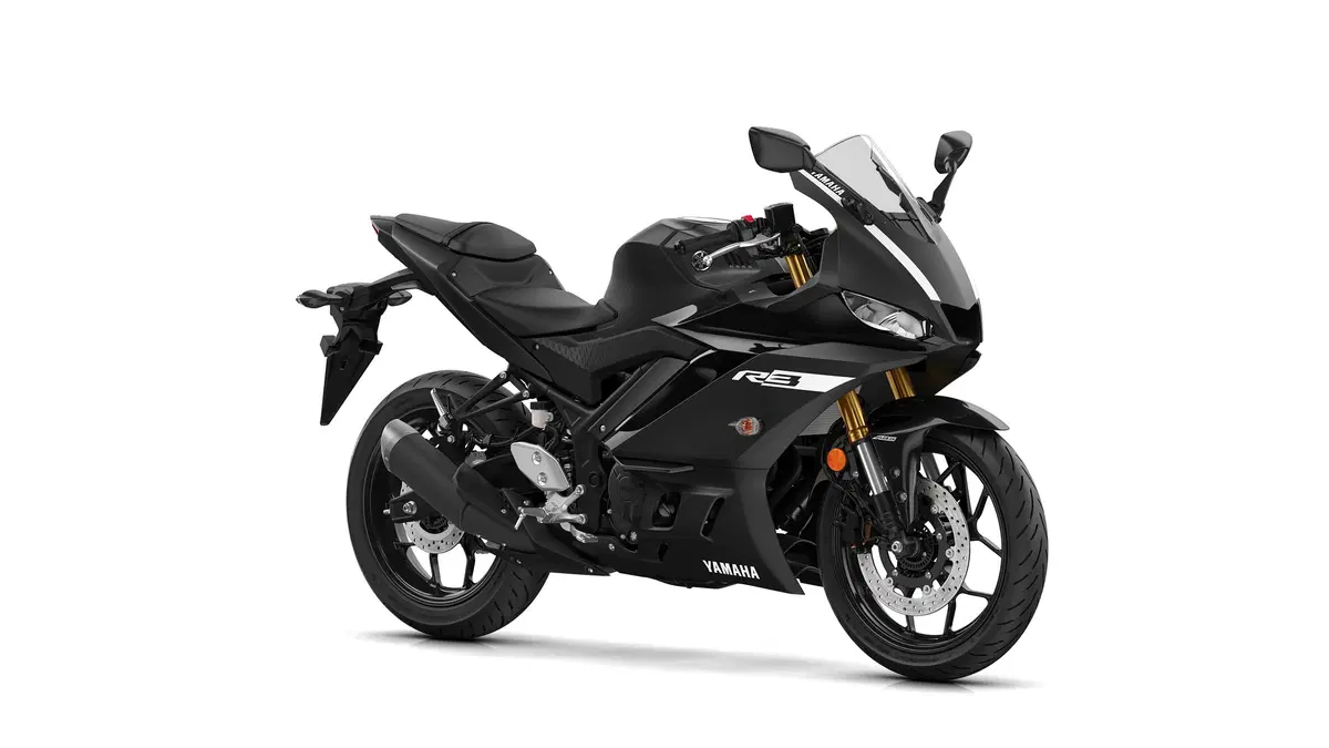Yamaha YZF R3 YZF R3 (2019 - 20) (11)