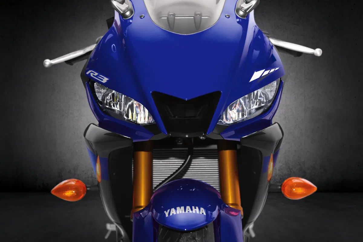 Yamaha YZF R3 YZF R3 (2019 - 20) (17)