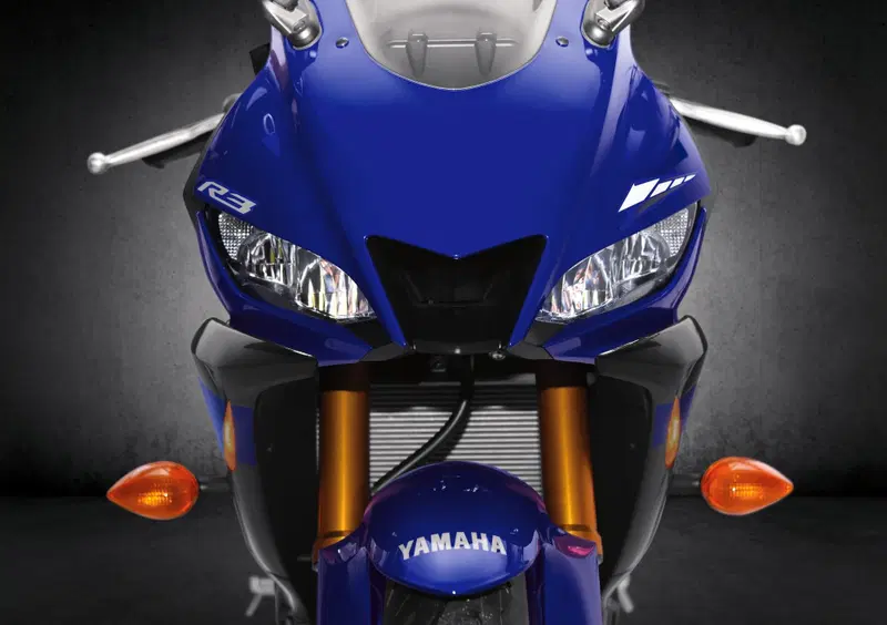 Yamaha YZF R3 YZF R3 (2019 - 20) (17)
