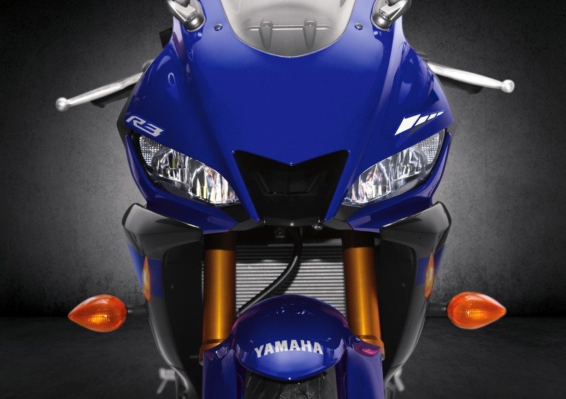 Yamaha YZF R3 YZF R3 (2019 - 20) (17)
