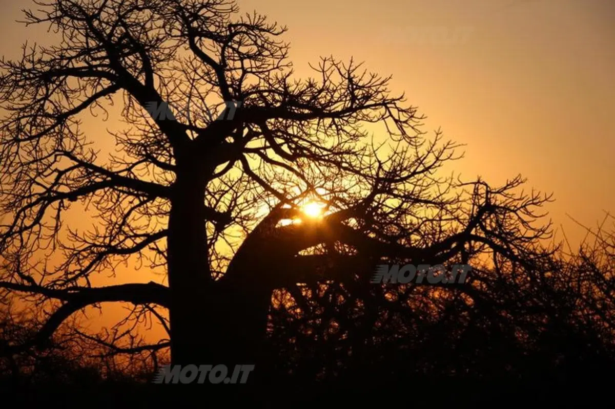 Turismo. In Vespa alla scoperta del Sud Africa (16)