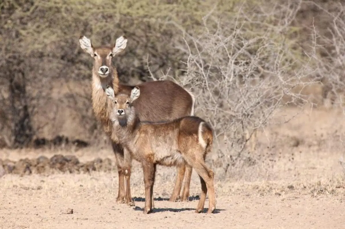 Turismo. In Vespa alla scoperta del Sud Africa (18)