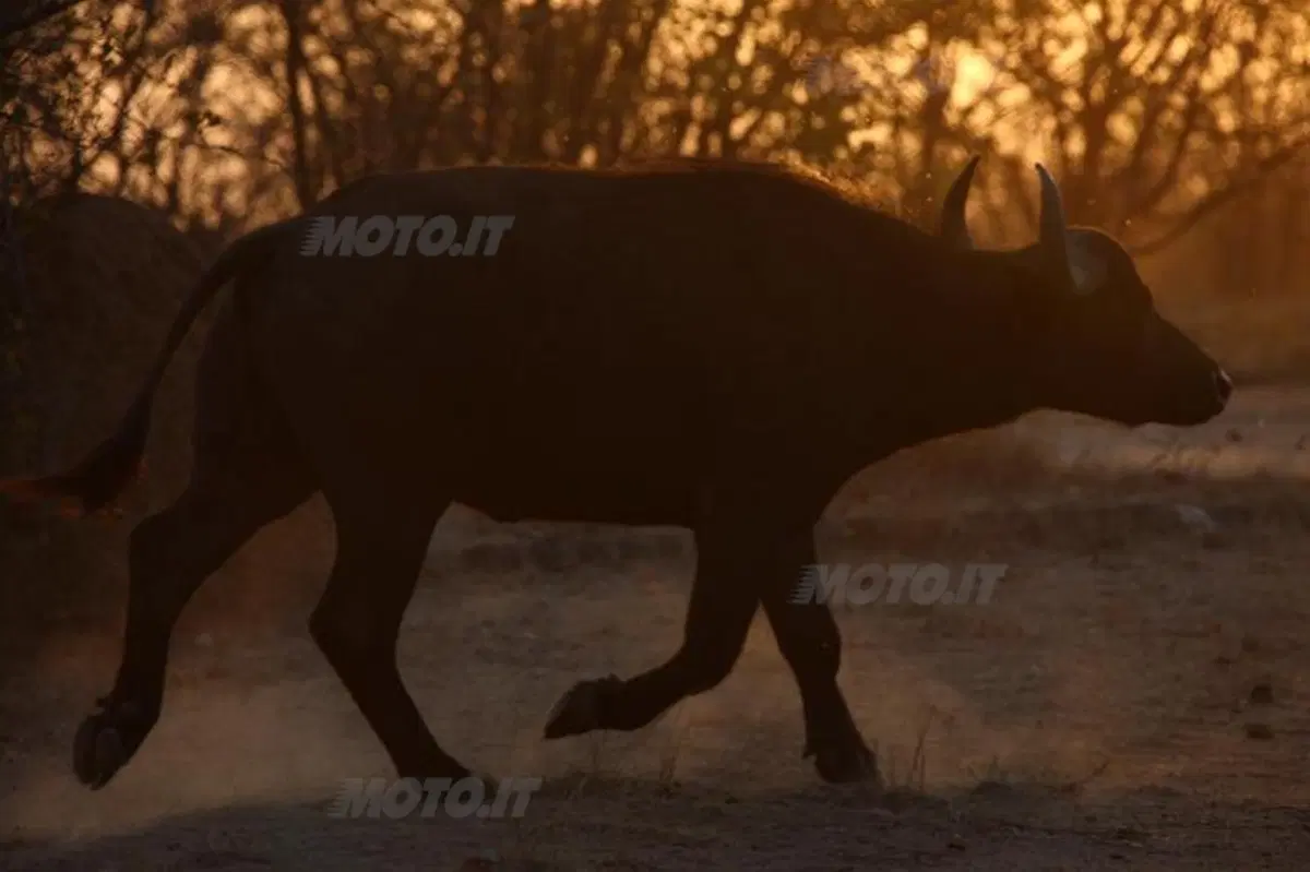 Turismo. In Vespa alla scoperta del Sud Africa (22)