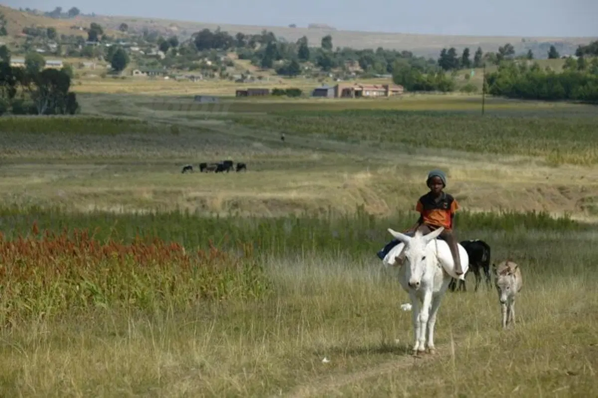 Turismo. In Vespa alla scoperta del Sud Africa (51)